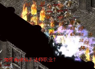 如何高效培养法师职业? 如何高效培养法师职业?