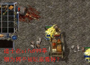 道士在sifu999早期为何不被玩家看好? 道士在sifu999早期为何不被玩家看好?