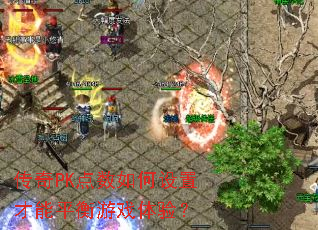 ����PK����������ò���ƽ����Ϸ���飿