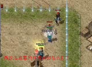 ��ɳ����Ĺ���ռ�BOSS��ô��