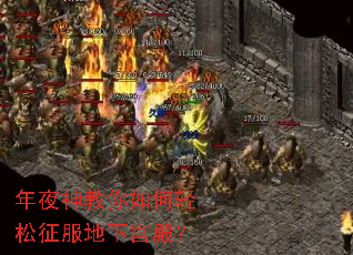 ��ҹ�������������������¹��