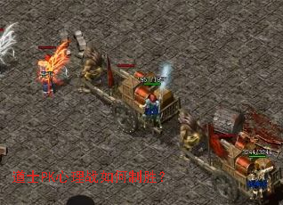 ��ʿPK����ս�����ʤ��