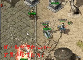 ��ε�������˽���е�����������ã�