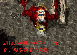 ˢ��������Ļ����𣿴���sf���ʵ�����ô����