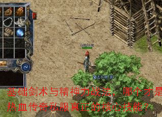 ���������뾫����ս�����ĸ�������Ѫ����˽�������ĺ��ļ��ܣ�