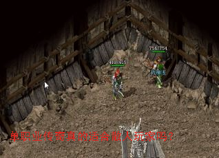 ��ְҵ��������ʺ�ɢ�������