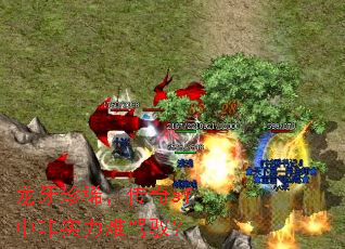 龙牙珍稀,传奇sf中非实力难驾驭? 龙牙珍稀,传奇sf中非实力难驾驭?