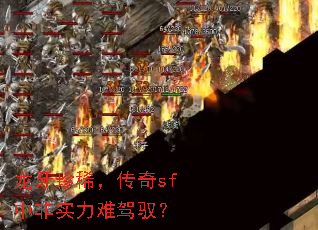 龙牙珍稀,传奇sf中非实力难驾驭? 龙牙珍稀,传奇sf中非实力难驾驭?