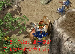 血道与防道,谁才是新开传奇中的实力王者? 血道与防道,谁才是新开传奇中的实力王者?