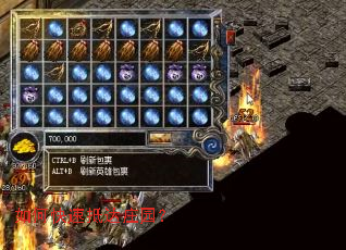 ��ο��ٵִ�ׯ԰��