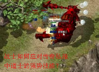 战士如何应对传奇私服中道士的强势技能? 战士如何应对传奇私服中道士的强势技能?