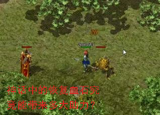 ���еĻָ�Ѫʯ�����ܴ������������