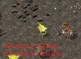 ��λ��ܳ��´�˵2BOSS֮�Ҷ������֮ѩ��ħ����