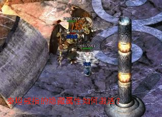 ̩̹��ָ������������μ��