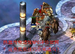 ��Ѫ����ƹ�NPC������Σ���Щʵ�ü�����֪����