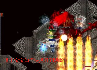 道士宝宝如何快速升到满阶? 道士宝宝如何快速升到满阶?