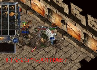 道士宝宝如何快速升到满阶? 道士宝宝如何快速升到满阶?