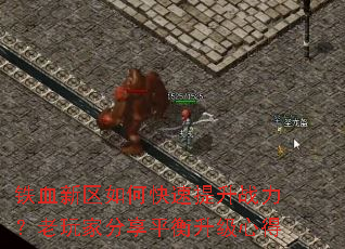 ��Ѫ������ο�������ս��������ҷ���ƽ�������ĵ�