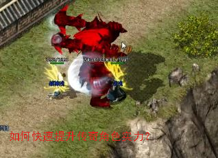 ��ο������������ɫʵ����