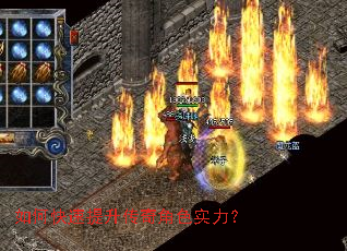 ��ο������������ɫʵ����