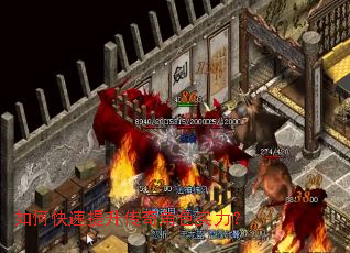 ��ο������������ɫʵ����