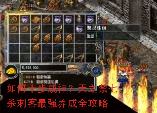 如何十步成神?天之禁七杀刺客最强养成全攻略 如何十步成神?天之禁七杀刺客最强养成全攻略