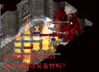 ��ο��ٻ�ɱBOSS����Ч����װ�����ϣ�