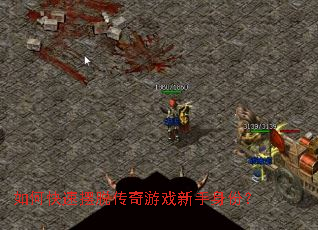 ��ο��ٰ��Ѵ�����Ϸ�������ݣ�