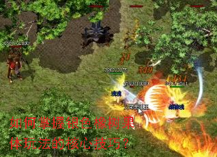 ���������ɫ���������淨�ĺ��ļ��ɣ�