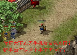 �������»����ֻ�����ǿ���ԣ�������ο������ֲ�����ã��