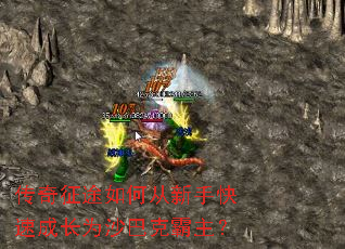 ������;��δ����ֿ��ٳɳ�Ϊɳ�Ϳ˰�����