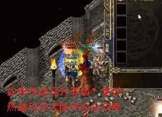 ��ο��������ȼ�����ȼ��Ѫ�귨��½�弶ȫ����