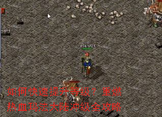 ��ο��������ȼ�����ȼ��Ѫ�귨��½�弶ȫ����