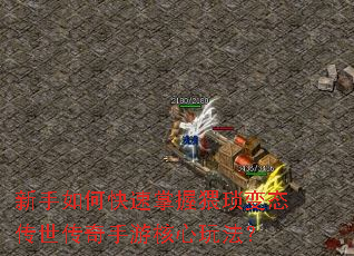 ������ο������������̬�����������κ����淨��