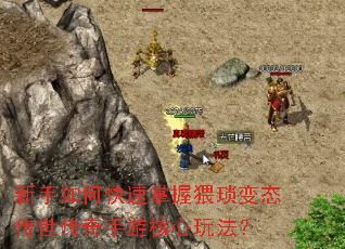 ������ο������������̬�����������κ����淨��