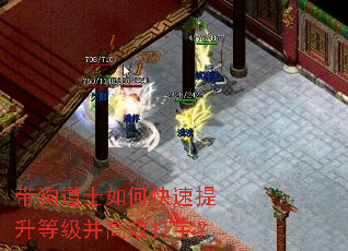 ������ʿ��ο��������ȼ�����Ч�򱦣�