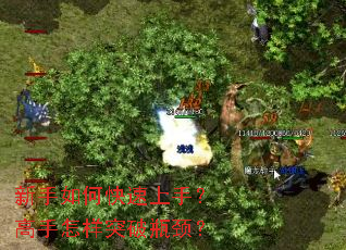 新手如何快速上手?高手怎样突破瓶颈? 新手如何快速上手?高手怎样突破瓶颈?