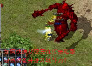 ��ο��ٻ�ȡ���Ǵ���˽����Ʒװ��������ս������