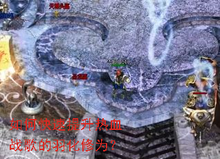 ��ο���������Ѫս�������Ϊ��