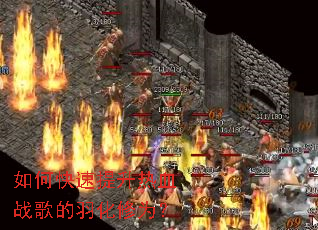 ��ο���������Ѫս�������Ϊ��