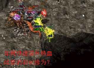 ��ο���������Ѫս�������Ϊ��