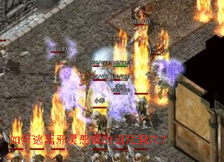 �������а���������䶴Ѩ��