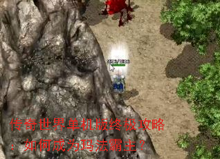 �������絥�����ռ����ԣ���γ�Ϊ�귨������