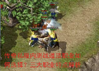 ����˽���ڲ�ս����ְҵ���ѡ������ְҵ�ص����