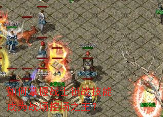 �������սʿ��ս���ܳ�Ϊս���س�֮����