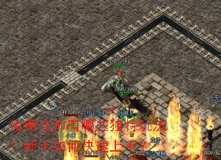 ���淨ʦ����Щ�����淨��������ο������֣�