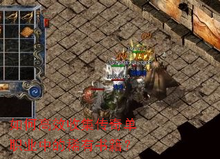 ��θ�Ч�ռ����浥ְҵ�е�ϡ���鼮��