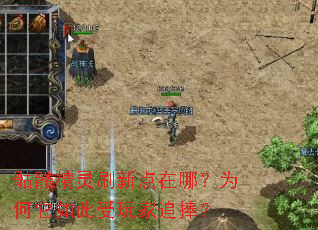 ���þ���ˢ�µ����ģ�Ϊ������������׷����