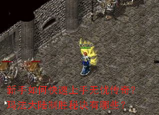 新手如何快速上手无忧传奇?玛法大陆制胜秘诀有哪些? 新手如何快速上手无忧传奇?玛法大陆制胜秘诀有哪些?