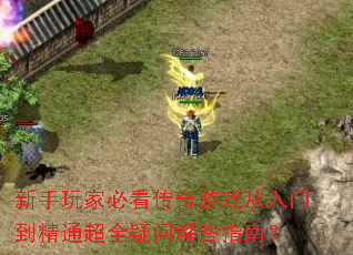 ������ұؿ�������Ϸ�����ŵ���ͨ��ȫ���ʽ��ָ�ϣ�